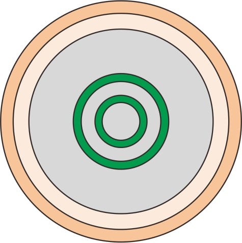Ring Fiber
