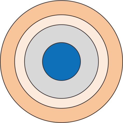 Multimode Fiber (OM2)