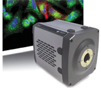 Drivers for Neo sCMOS Camera