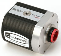 Rolera Bolt sCMOS Camera