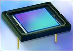 UV and EUV Photodiodes
