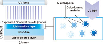 FujiFilm Example Applications