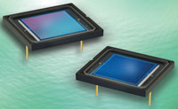 IRD Photodiodes from Opto Diode
