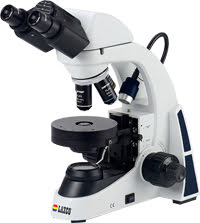 Compound Microscopes