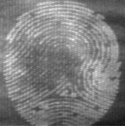 FLIR Systems Inc. - Forensic Research Using FLIR Thermal Cameras