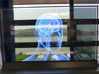 Transparent OLED Display
