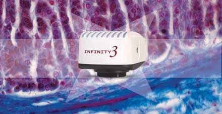 Lumenera Corporation - Need a camera with sensitivity, speed and resolution?