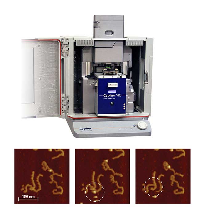 Video-Rate Atomic Force Microscope