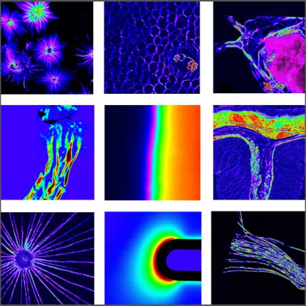 Birefringence Imaging