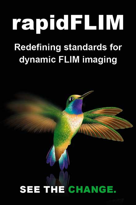 PicoQuant GmbH - High-Speed Imaging with rapidFLIM