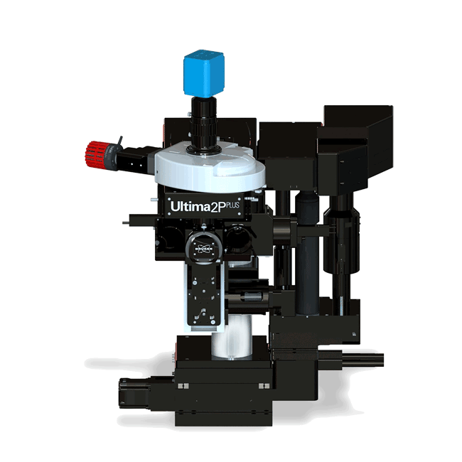 Bruker Nano Surfaces - Ultima 2Pplus Multiphoton Imaging