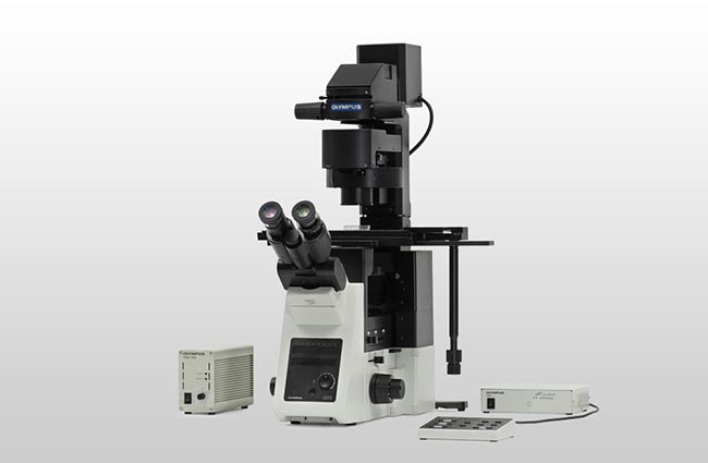 Inverted Microscopy System