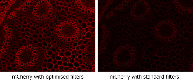 CoolLED Ltd. - Making LEDs Work Smarter, Not Harder