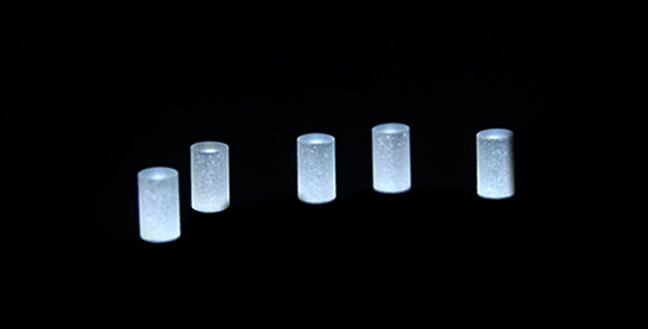 Rod Lenses for Endoscopes