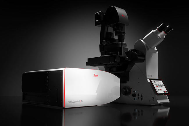 Confocal Microscopy Platform