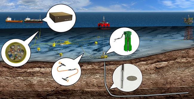 Fiber Optic Subsea Technology