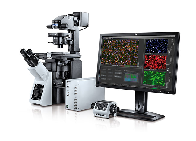 Microscopy Screening Station