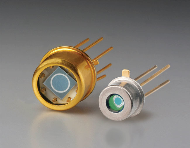 Extended InGaAs PIN Photodiode