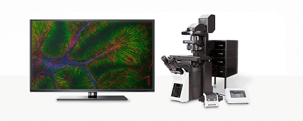 Evident Laser Scanning Microscopes