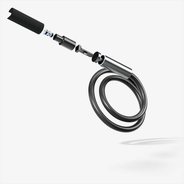 Fisba AG - Micro Imaging System for Endoscopy