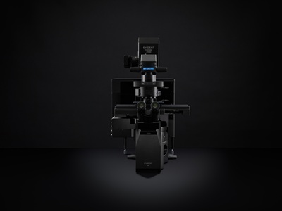 Confocal and Multiphoton Laser Scanning Microscope