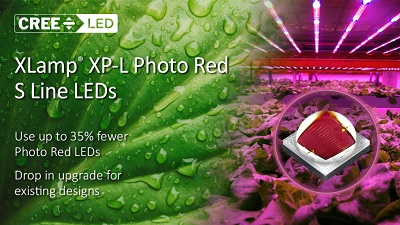 Photo Red LEDs