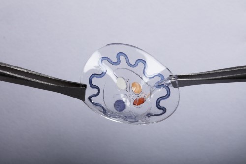 Photonics Systems for Human Health Care and Biomedical Research