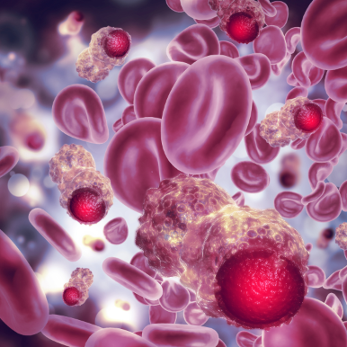 Functional Imaging and Monitoring of Tissues with Diffusing Light