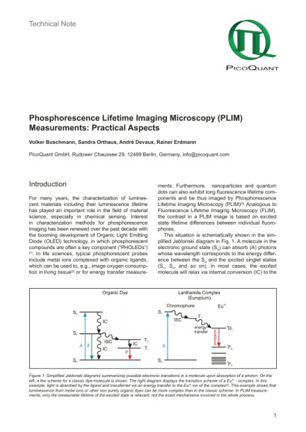 Phosphorescence Lifetime Imaging Microscopy (PLIM) Measurements: Practical Aspects