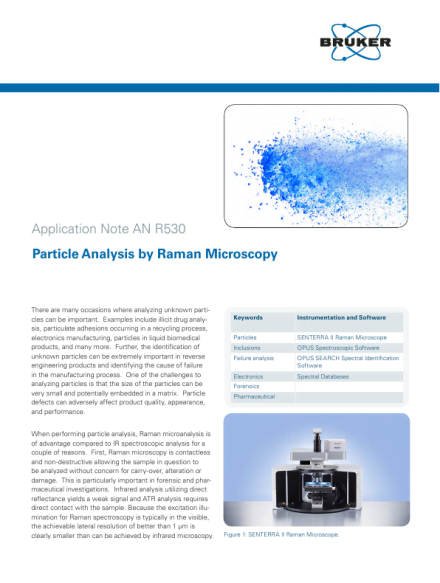 Particle Analysis by Raman Microscopy