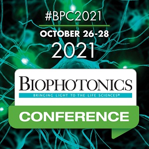 Raman Spectroscopy Rapidly Detects COVID-19