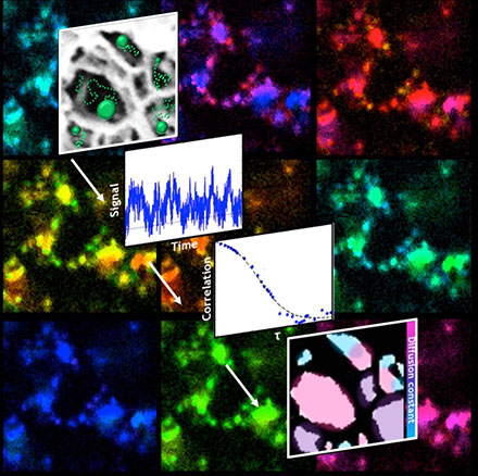 Imaging of Nanoscale Pores Aids Drug Discovery