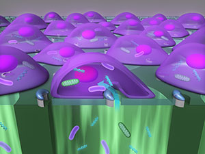 Lasers Inject 'Cargo' into Cells at High Speed