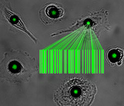 Microlasers Track Cells from the Inside