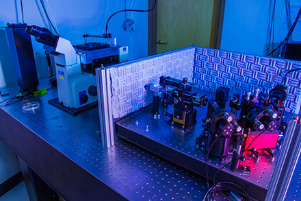 Microscopy Platform Enables Ultrastable Measurements