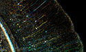 Peering into the Nanoworld with Optical Microscopy