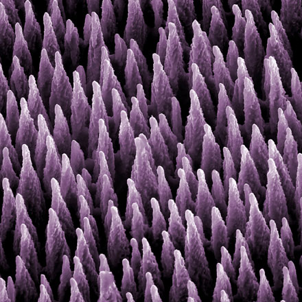 By a Stretch: Making Femtosecond Laser Design and Manufacturing Simpler, Leaner and Cheaper