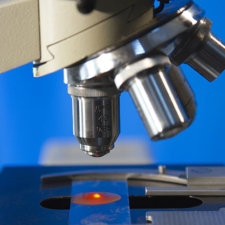 Advances in Rapid 3D Imaging of Large Tissue Samples