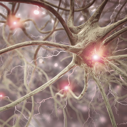 Spectroscopic OCT: Seeing Under the Skin with Depth-Resolved Spectroscopy