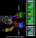 Molecular Movies Enhance Bioimaging, Health Research