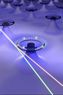 Raman Whispering Gallery Detects Nanoparticles