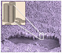 Nanopillars Enhance Solar Efficiency