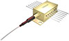 Frankfurt Laser Company - Single-Mode Laser Diode