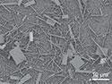 Perovskite Nanowires Yield Efficient, Tunable Lasers