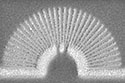 Metamaterial Hyperlens Breaks Diffraction Limit