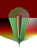 Photonic Bandgap Fiber Reaches Telecom Scale