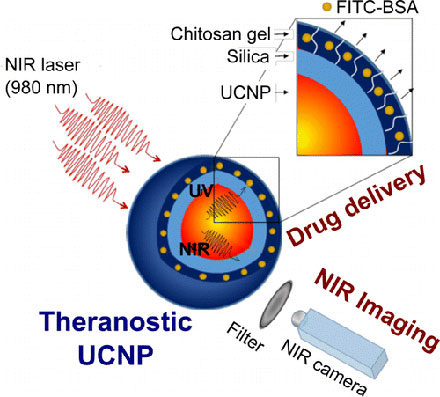 UV, NIR Light Enable Targeted Drug Delivery