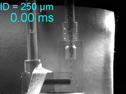 Microfluidics Technique Mass-Produces Platinum Nanoparticles