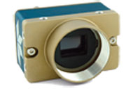 Teledyne DALSA - GigE Vision CMOS Area Scan Camera