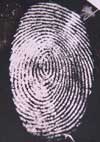 Fluorescent Fingerprint Tag IDs 'Hidden' Prints